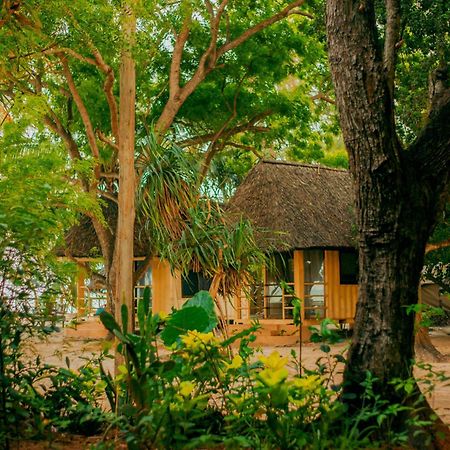 Mikadi Beach Camp & Backpackers Hostel ดาร์เอสซาลาม ภายนอก รูปภาพ