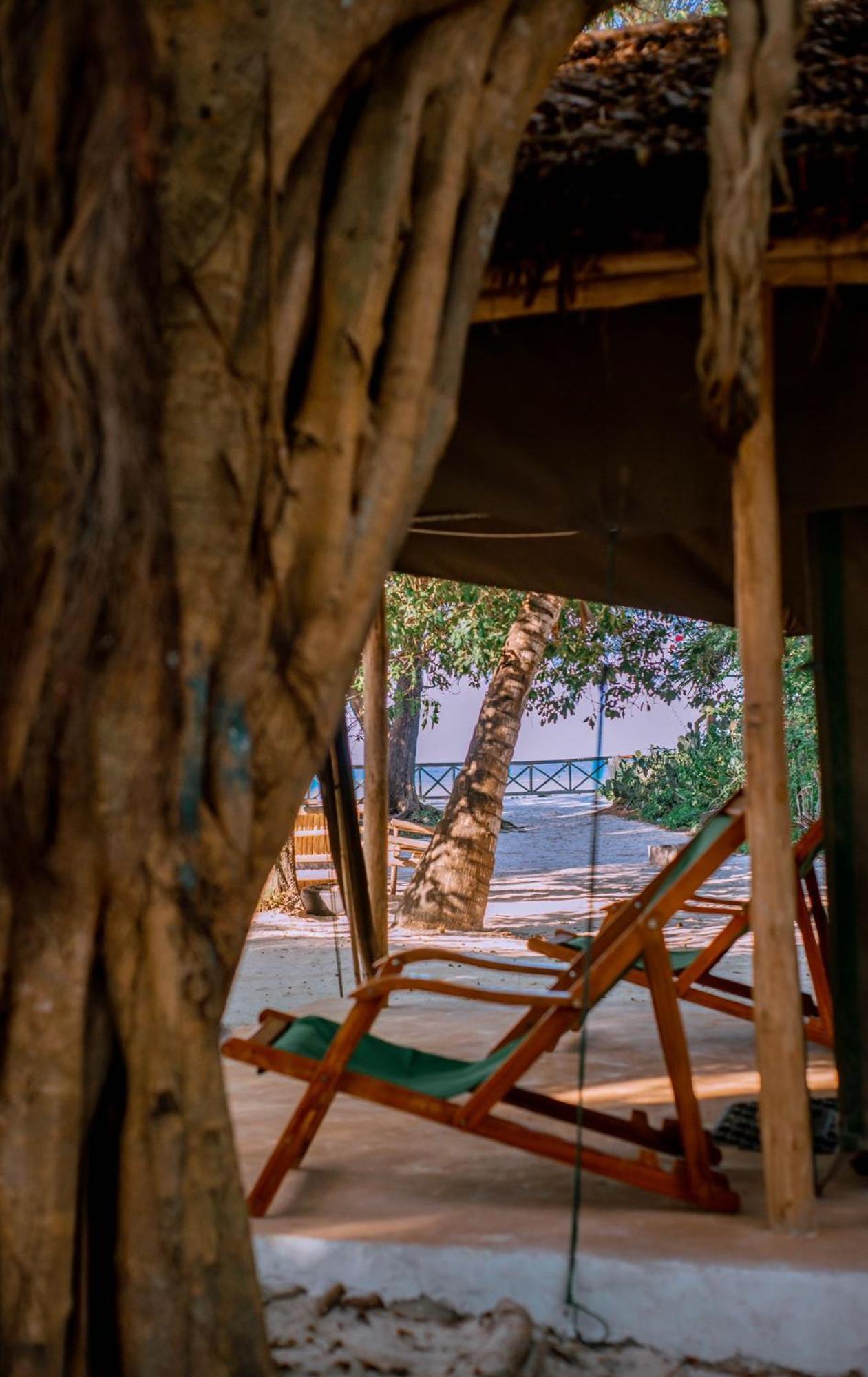 Mikadi Beach Camp & Backpackers Hostel ดาร์เอสซาลาม ภายนอก รูปภาพ